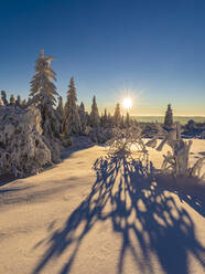 Deutschland, Baden Württemberg, Schwarzwald bei Sonnenaufgang im Winter - WDF06504