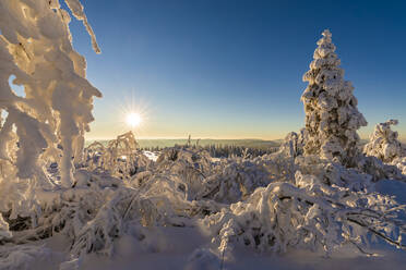 Deutschland, Baden Württemberg, Schwarzwald bei Sonnenaufgang im Winter - WDF06507