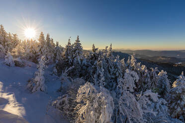 Deutschland, Baden Württemberg, Schwarzwald bei Sonnenaufgang im Winter - WDF06508