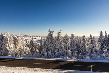 Germany, Baden Wurttemberg, Black Forest in winter  - WDF06509
