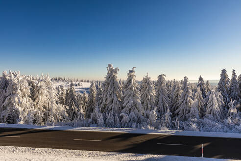 Deutschland, Baden Württemberg, Schwarzwald im Winter - WDF06509