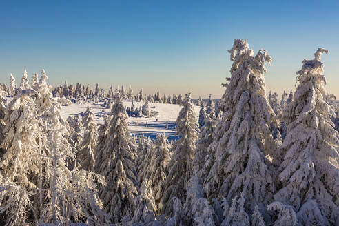 Deutschland, Baden Württemberg, Schwarzwald im Winter - WDF06510