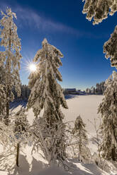 Deutschland, Baden Württemberg, Schwarzwald im Winter - WDF06515