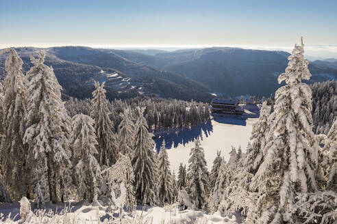 Deutschland, Baden Württemberg, Schwarzwald im Winter - WDF06516