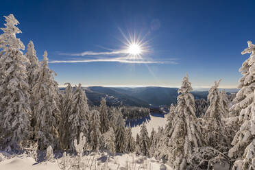 Deutschland, Baden Württemberg, Schwarzwald im Winter - WDF06517