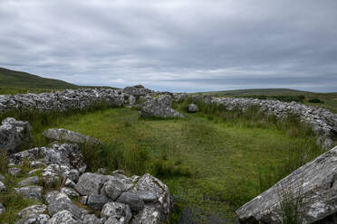 Republik Irland, Grafschaft Donegal, Megalithisches Grabmal Cloghanmore - BIGF00085