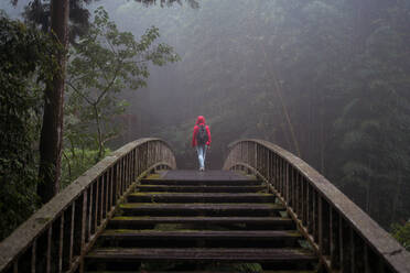 Low angle back view of unrecognizable tourist in raincoat and with backpack walking on pedestrian bridge leading through dense green woods in rainy day - ADSF20375