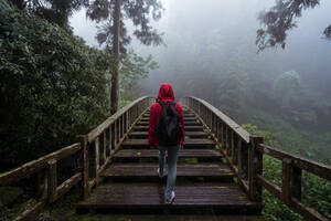 Low angle back view of unrecognizable tourist in raincoat and with backpack walking on pedestrian bridge leading through dense green woods in rainy day - ADSF20376