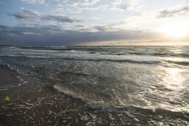 Deutschland, Darss, Weststrand Sandstrand mit Bäumen bei Sonnenuntergang - MYF02332