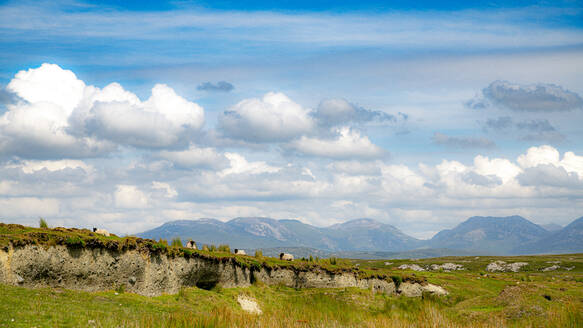 Weidende Schafe auf einem Feld vor bewölktem Himmel - BIGF00092
