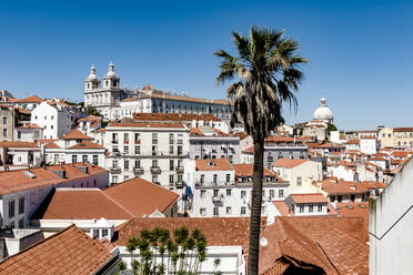 Portugal, Lissabon, Kloster von So Vicente de Fora mit Palme im Vordergrund - EGBF00603