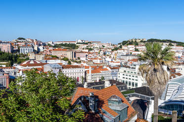 Portugal, Lissabon, Miradouro Sao Pedro Alcantara, Blick auf die Stadt mit Palme im Vordergrund - EGBF00629