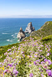 Sea with stack rocks with purple wildflowers in foreground - EGBF00648