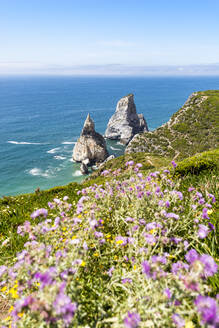 Meer mit Stapel Felsen mit lila Wildblumen im Vordergrund - EGBF00648