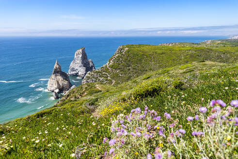 Meer mit Stapel Felsen mit lila Wildblumen im Vordergrund - EGBF00649