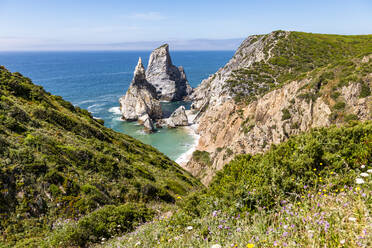 Green coast and stack rocks in sea - EGBF00652