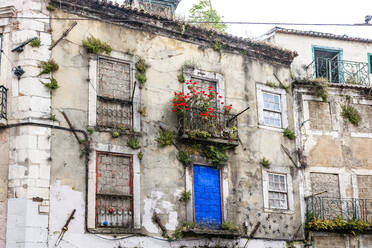 Portugal, Lissabon, Alfama, Verlassenes, heruntergekommenes Stadthaus - EGBF00677