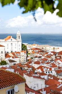 Portugal, Lisbon, View of Alfama buildings from Miradouro of Santa Luzia - EGBF00678