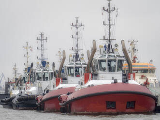 Germany, Hamburg, Row of tugboats moored in harbor - RJF00853