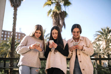 Female friends using smart phones while standing against clear sky in park - GRCF00642