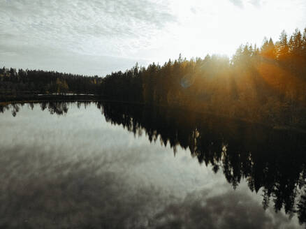 Landschaftlicher Blick auf den See inmitten von Kiefern gegen den Himmel im Wald bei Sonnenuntergang - PSIF00427