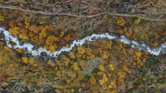 Luftbildpanorama eines plätschernden Flusses im Herbst - OCAF00614