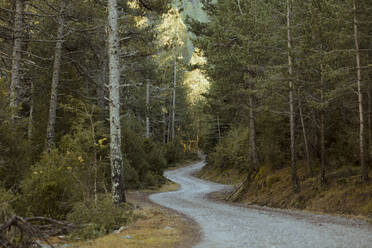 Spanien, Pyrenäen, Kurvenreiche Bergstraße durch den Wald - OCAF00617