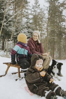 Familie mit Border Collie auf einem Schlitten sitzend auf einem verschneiten Feld am Wochenende - DWF00564