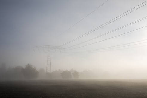 Deutschland, Brandenburg, Mahlow, Landwirtschaftliches Feld im Herbstnebel - ASCF01555