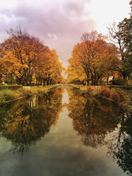 Deutschland, Nordrhein-Westfalen, Köln, Herbstbäume, die sich in der glänzenden Oberfläche des Lindenthaler Kanals spiegeln - GWF06832