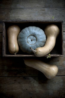 Halbierte Butternusskürbisse (Cucurbita moschata) und Kronprinzenkürbis (Cucurbita maxima) vor rustikalem Hintergrund - ASF06696