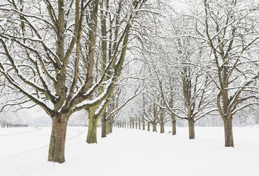 Deutschland, Nordrhein-Westfalen, Köln, Wintertag im Stadtpark - GWF06836