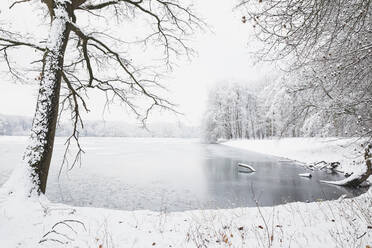 Deutschland, Nordrhein-Westfalen, Köln, Wintertag im Stadtpark - GWF06840