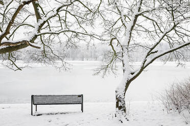 Deutschland, Nordrhein-Westfalen, Köln, Wintertag im Stadtpark - GWF06842