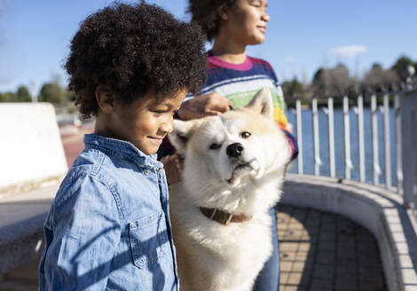 Bruder und Schwester schauen weg, während sie neben dem Hund im Park stehen - JCCMF00963