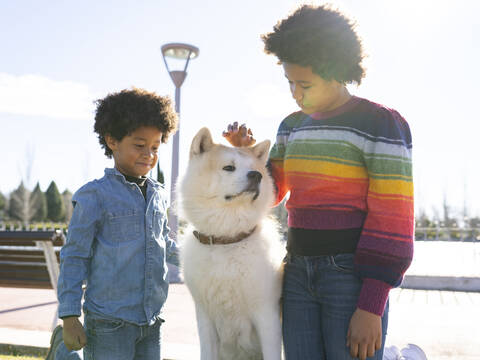 Geschwisterkind spielt mit Hund im Park, lizenzfreies Stockfoto