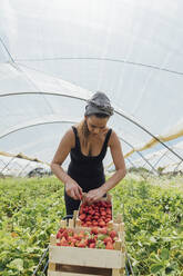 Female farmer placing strawberries in box at organic farm - JRVF00192
