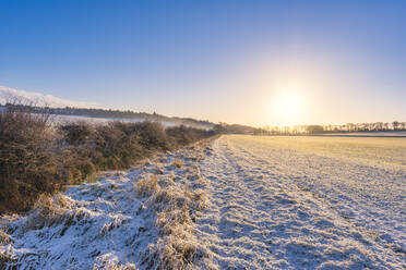 UK, Scotland, East Lothian, Winter sunrise over agricultural field  - SMAF01981