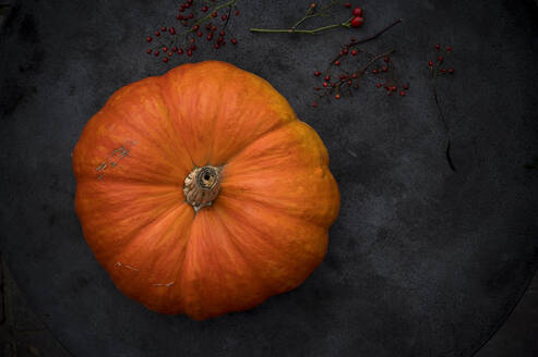 Giant pumpkin and rose hips on rustic baking sheet - ASF06703