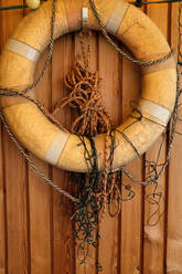 Life belt, ropes and Christmas lights hanging on wooden wall - GISF00742