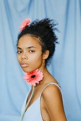 Serious female with curly black hair holding pink gerbera daisy against blue curtain - TCEF01520