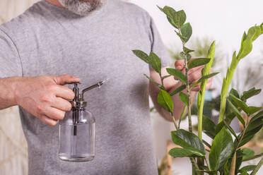 Man spraying water on Zamioculcas Zamiifolia plant while standing at home - RTBF01510