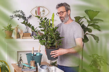 Man examining Zamioculcas Zamiifolia flower pot while working at home - RTBF01513