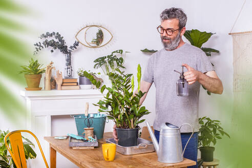 Mann, der zu Hause stehend Wasser auf eine Zamioculcas Zamiifolia-Topfpflanze sprüht - RTBF01517
