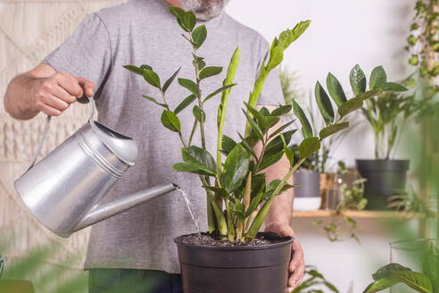 Man watering Zamioculcas Zamiifolia plant with watering can while gardening at home - RTBF01542