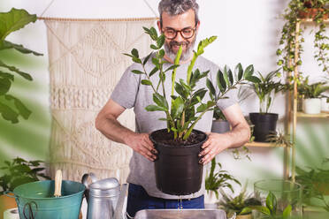 Lächelnder Mann, der einen Blumentopf mit einer Zamioculcas Zamiifolia Pflanze trägt, während er zu Hause steht - RTBF01543