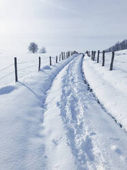 Footprints along snow-covered countryside road in winter - GWF06845