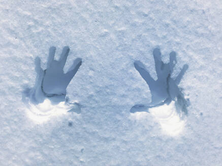 Handabdrücke im Schnee - GWF06846