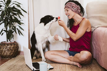Woman feeding watermelon to dog while sitting by laptop on at home - EBBF02339