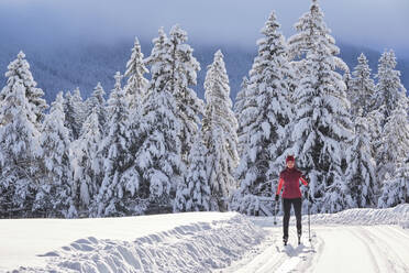 Älterer Forscher beim Skifahren auf einer Skipiste über einem Berg im Wald - MRF02472